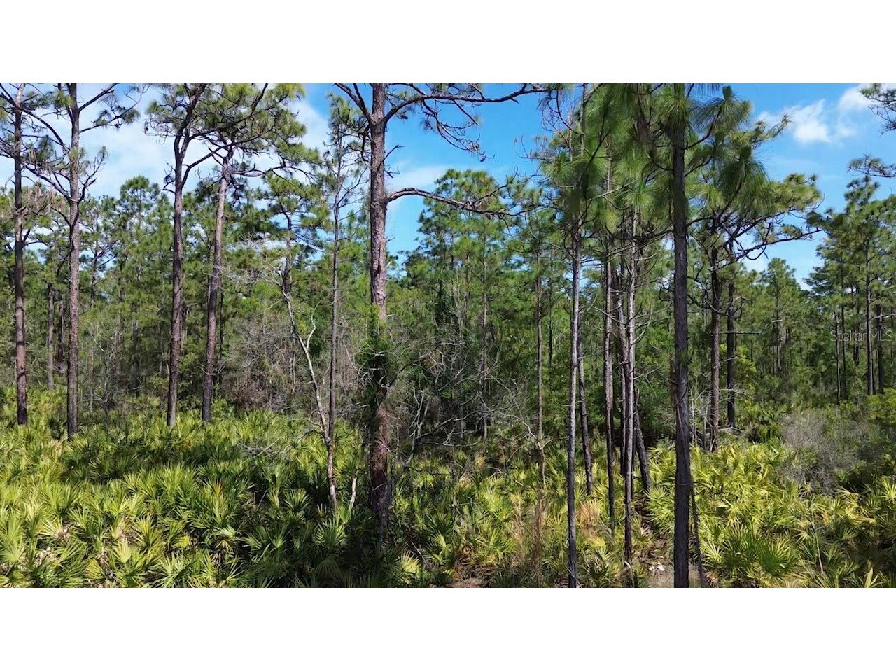S Apopka Vineland Road Orlando FL 32821 O6404068 image8