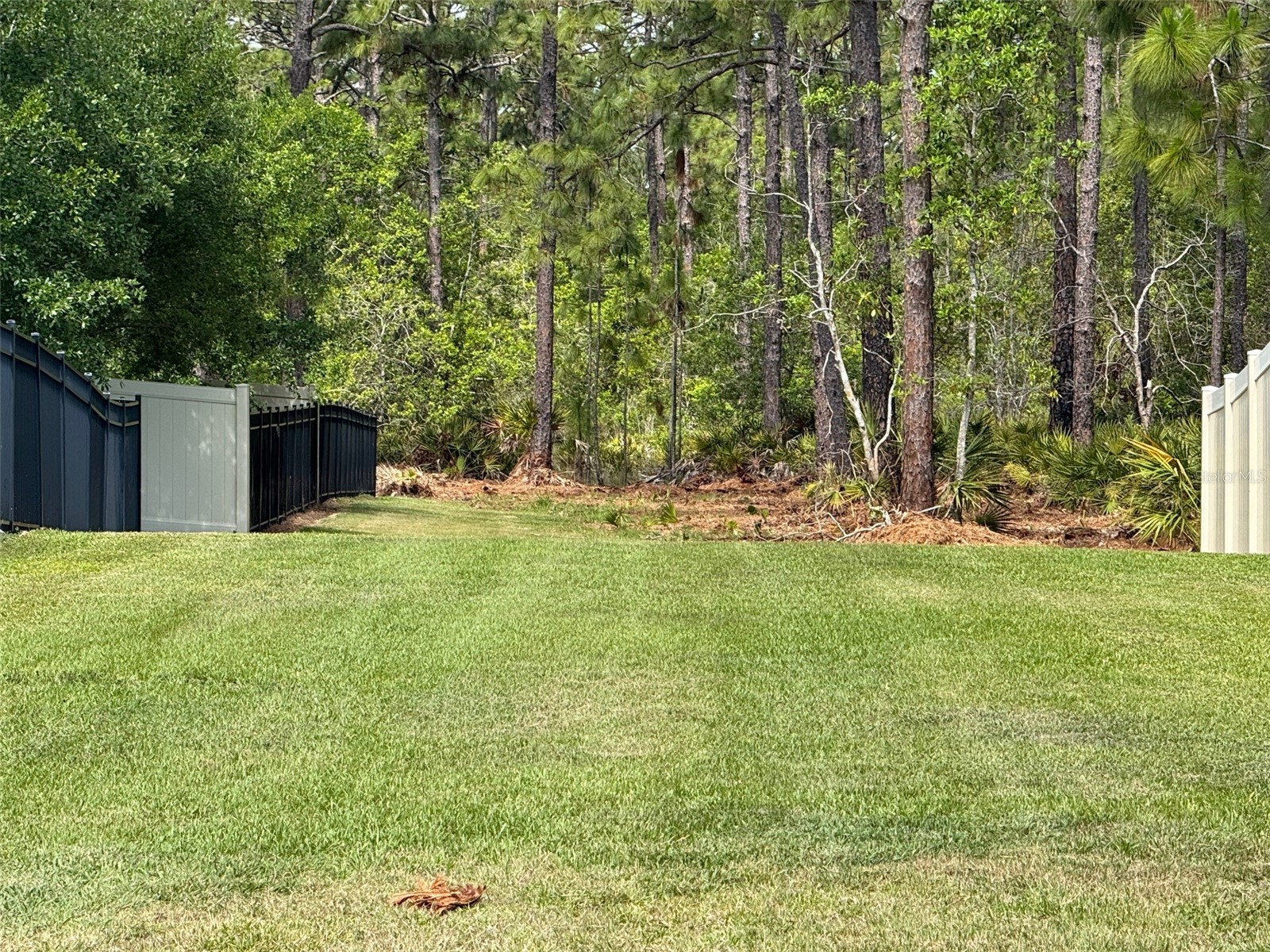 S Apopka Vineland Road Orlando FL 32821 O6404068 image9