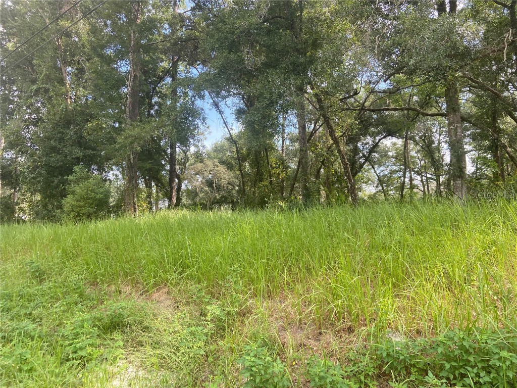 S Blue Lake Avenue Deland FL 32724 V4938776 image1