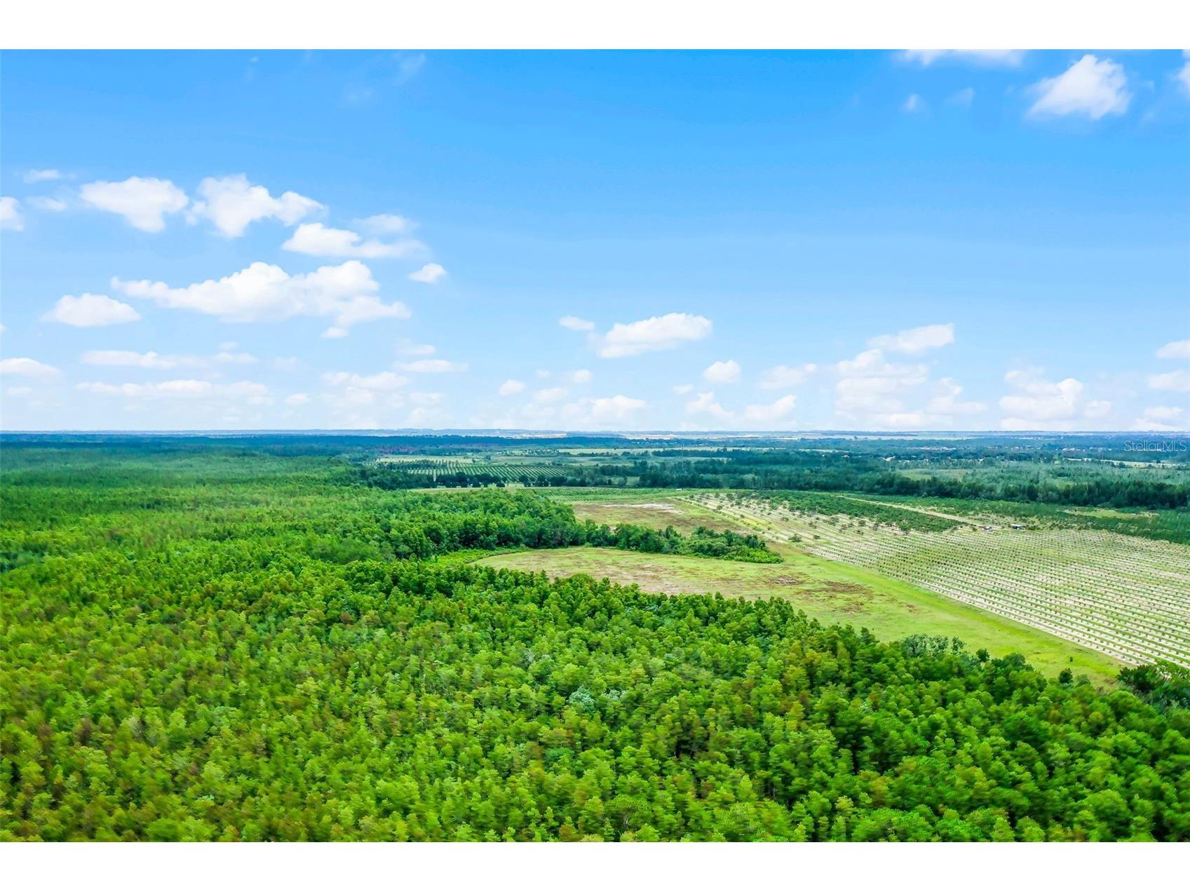 S Boggy Marsh Road Clermont FL 34711 G5078907 image1