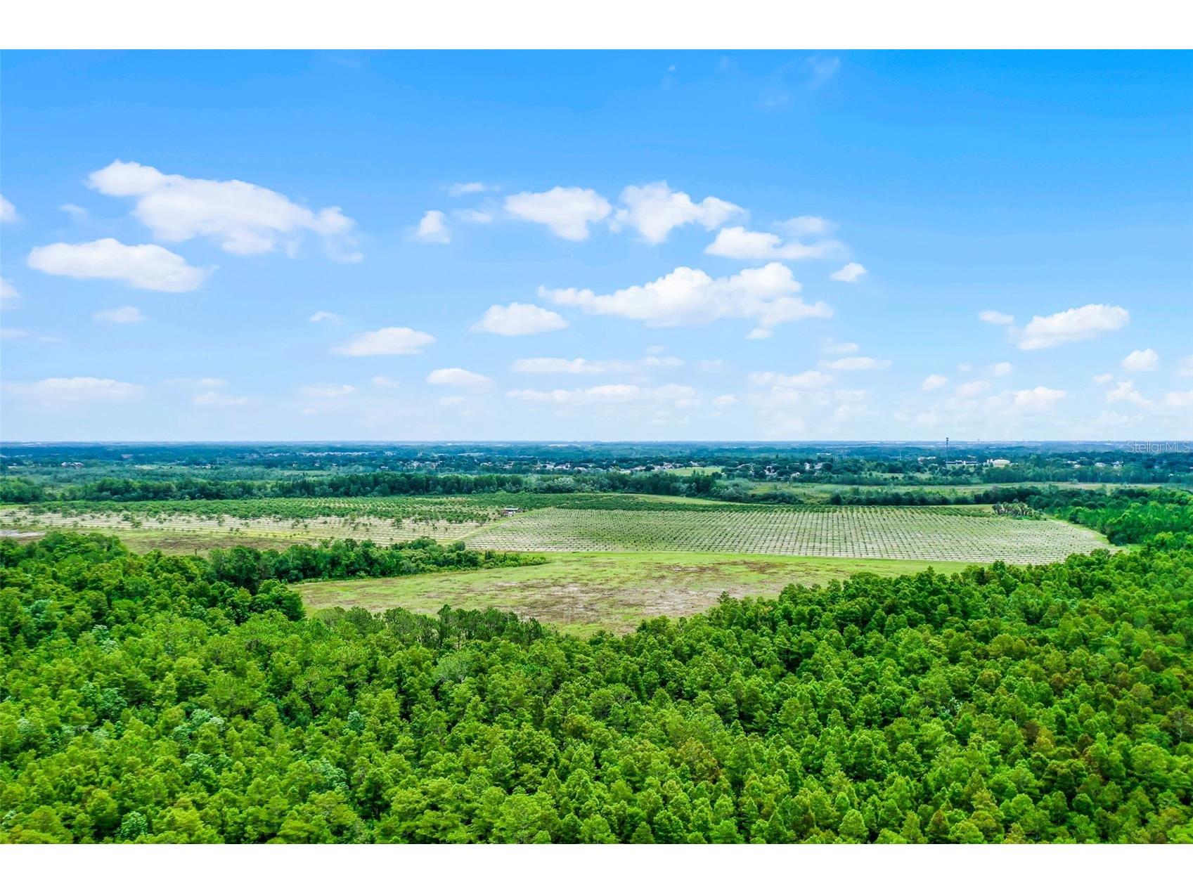 S Boggy Marsh Road Clermont FL 34711 G5078907 image11