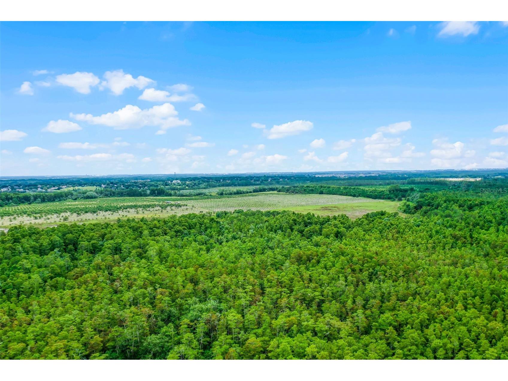 S Boggy Marsh Road Clermont FL 34711 G5078907 image12