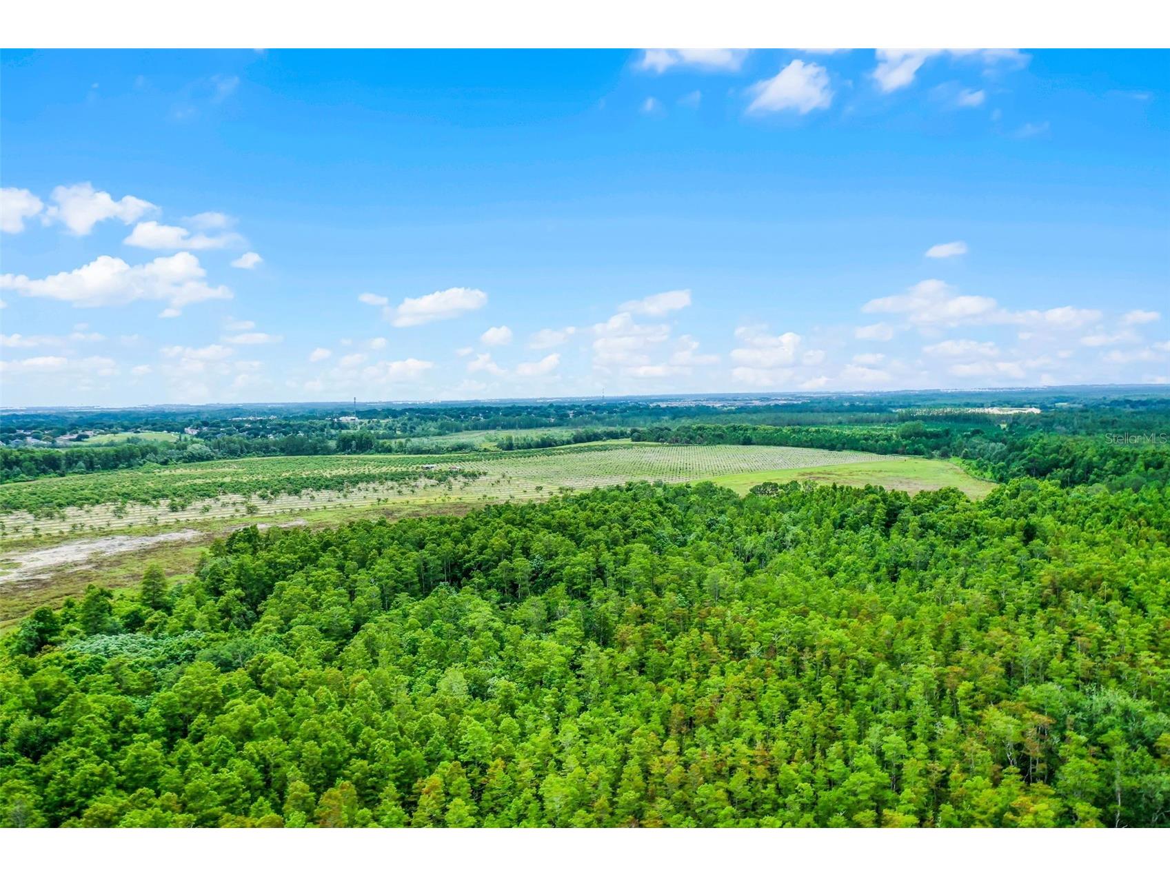 S Boggy Marsh Road Clermont FL 34711 G5078907 image13