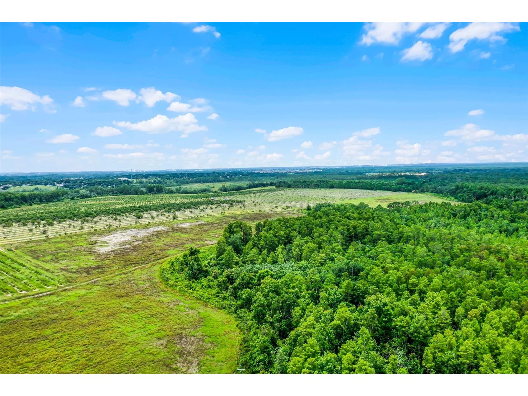 S Boggy Marsh Road Clermont FL 34711 G5078907 image14