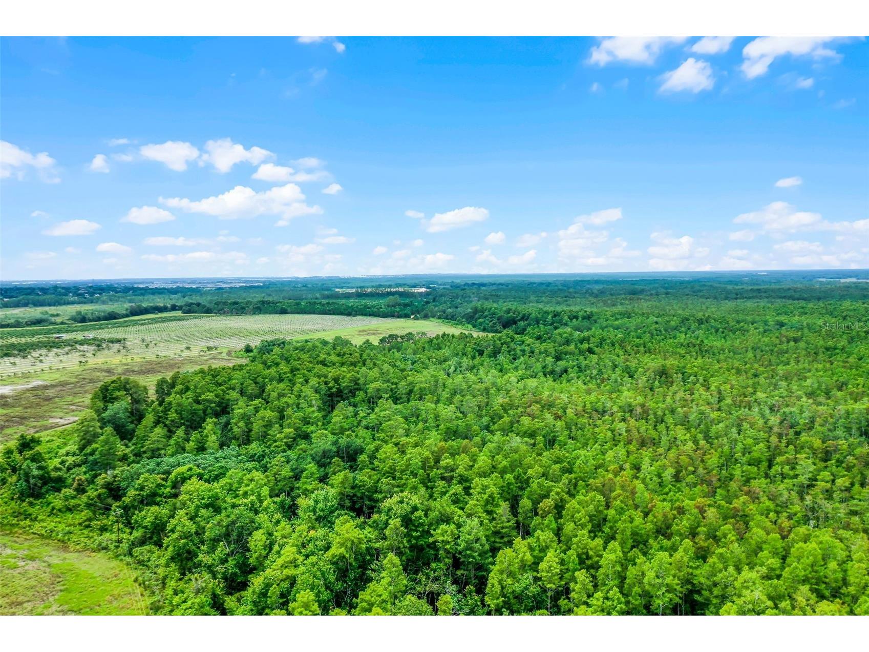 S Boggy Marsh Road Clermont FL 34711 G5078907 image15