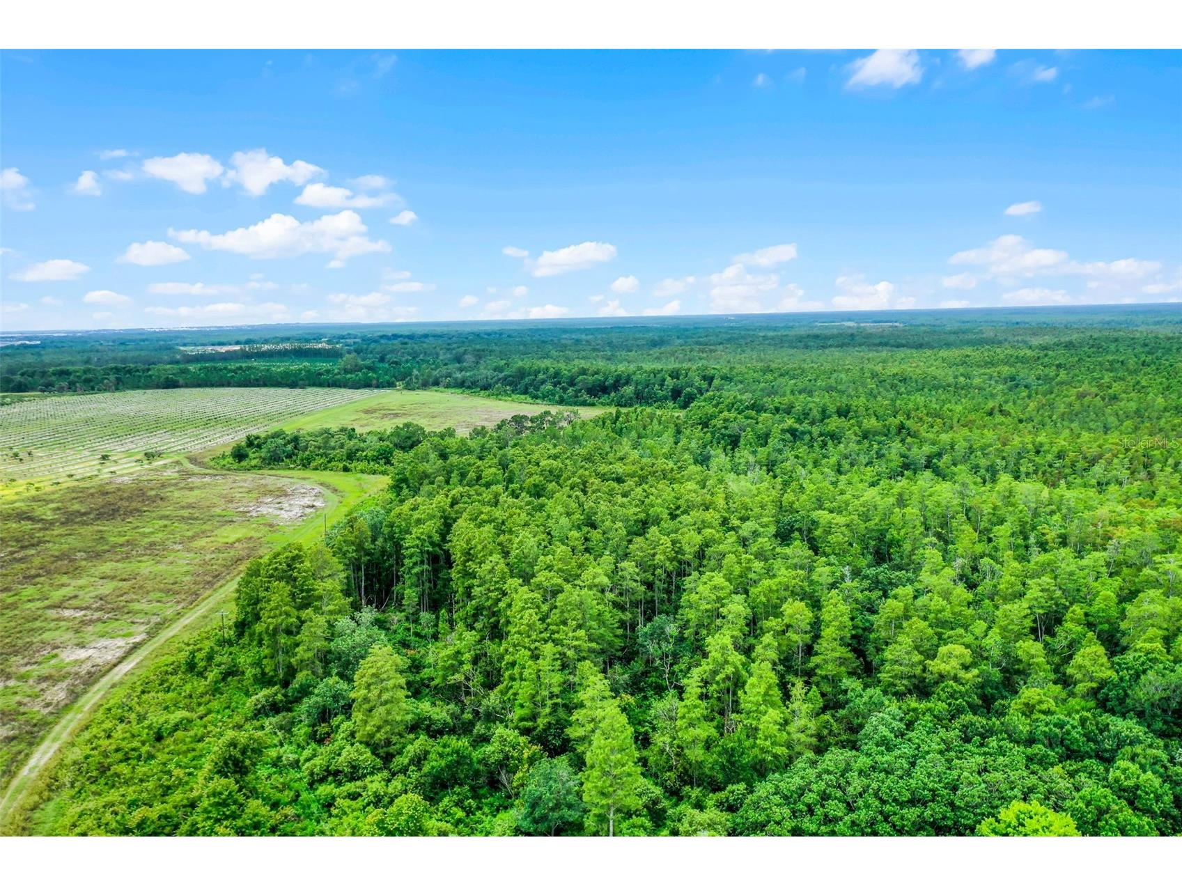 S Boggy Marsh Road Clermont FL 34711 G5078907 image16