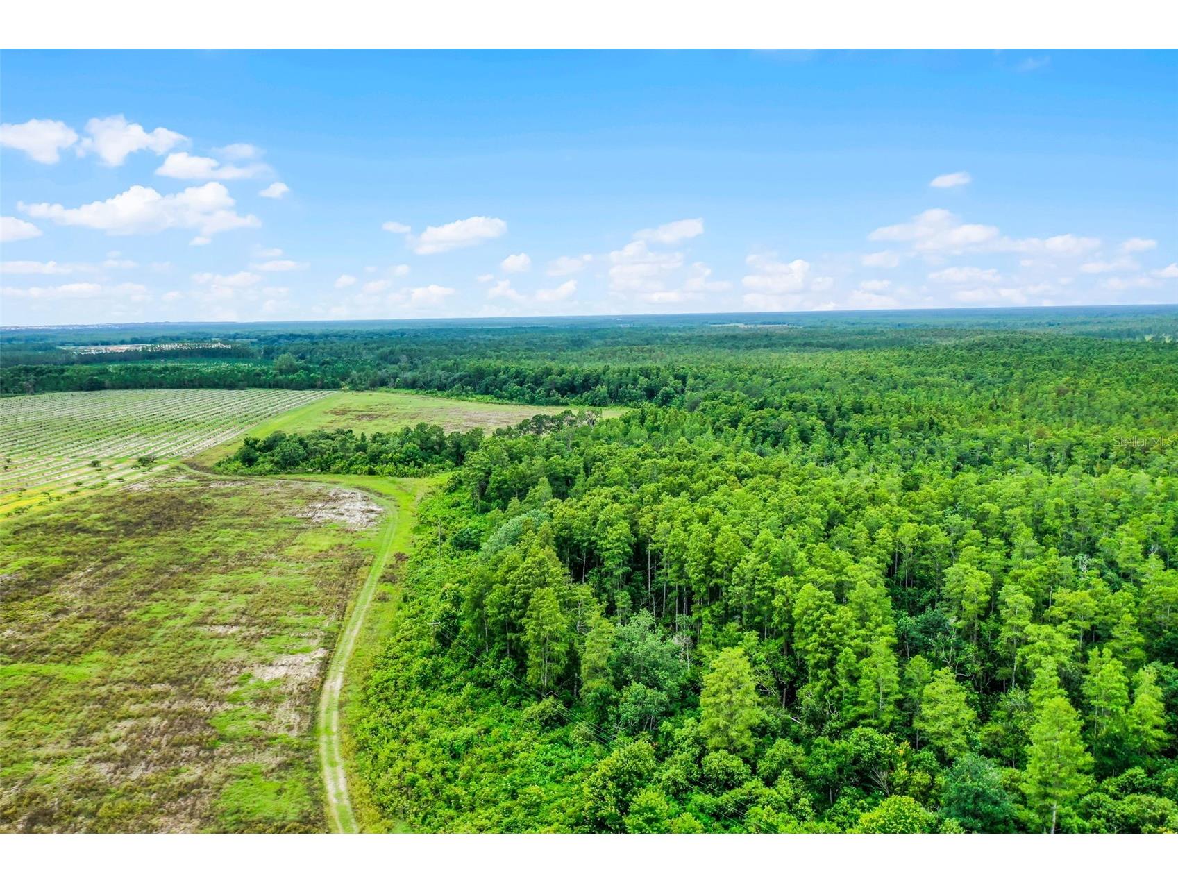 S Boggy Marsh Road Clermont FL 34711 G5078907 image17