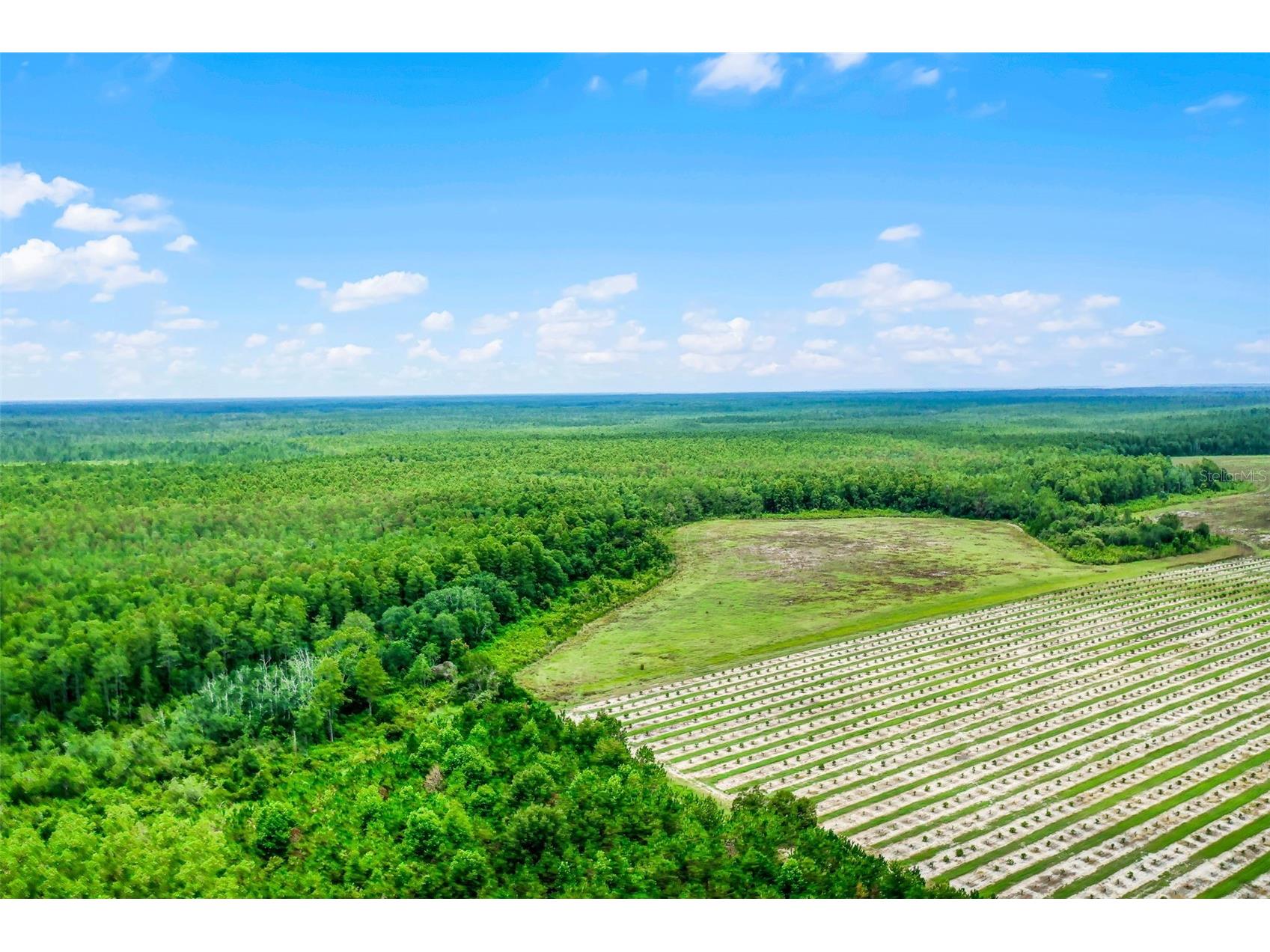 S Boggy Marsh Road Clermont FL 34711 G5078907 image18