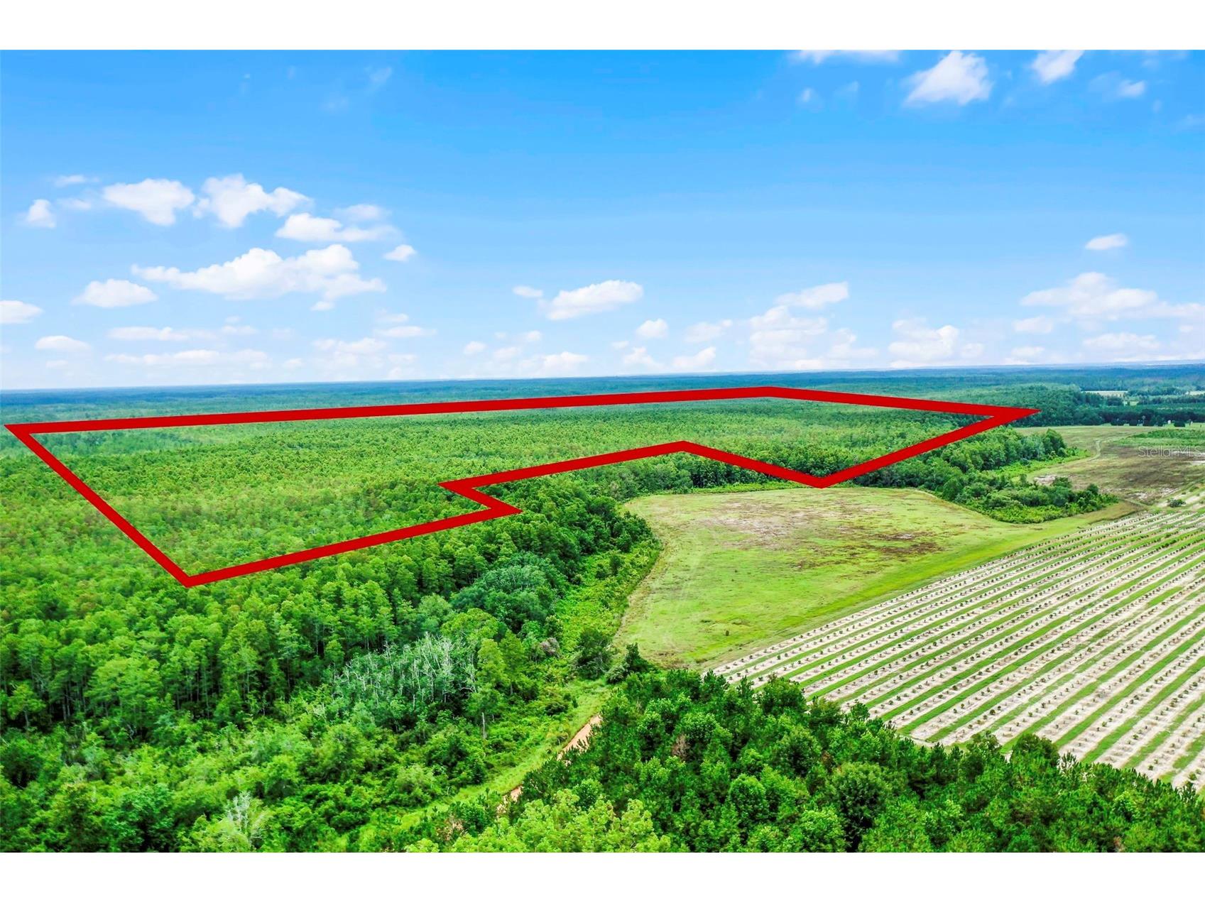 S Boggy Marsh Road Clermont FL 34711 G5078907 image2