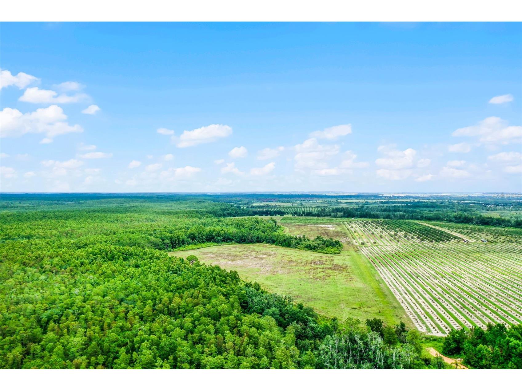 S Boggy Marsh Road Clermont FL 34711 G5078907 image20