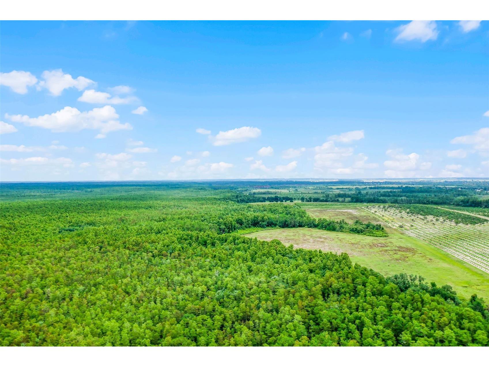 S Boggy Marsh Road Clermont FL 34711 G5078907 image21