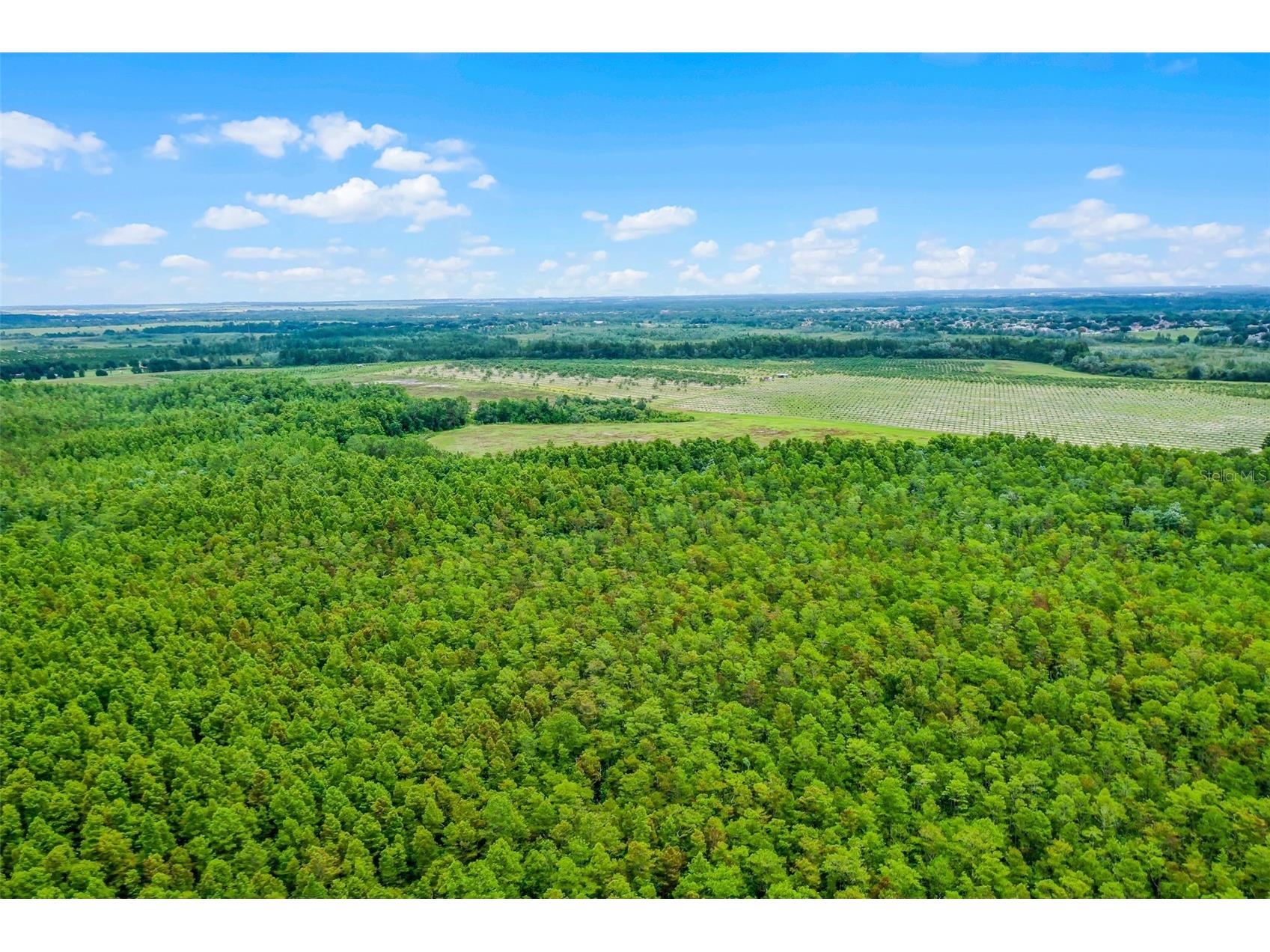 S Boggy Marsh Road Clermont FL 34711 G5078907 image23