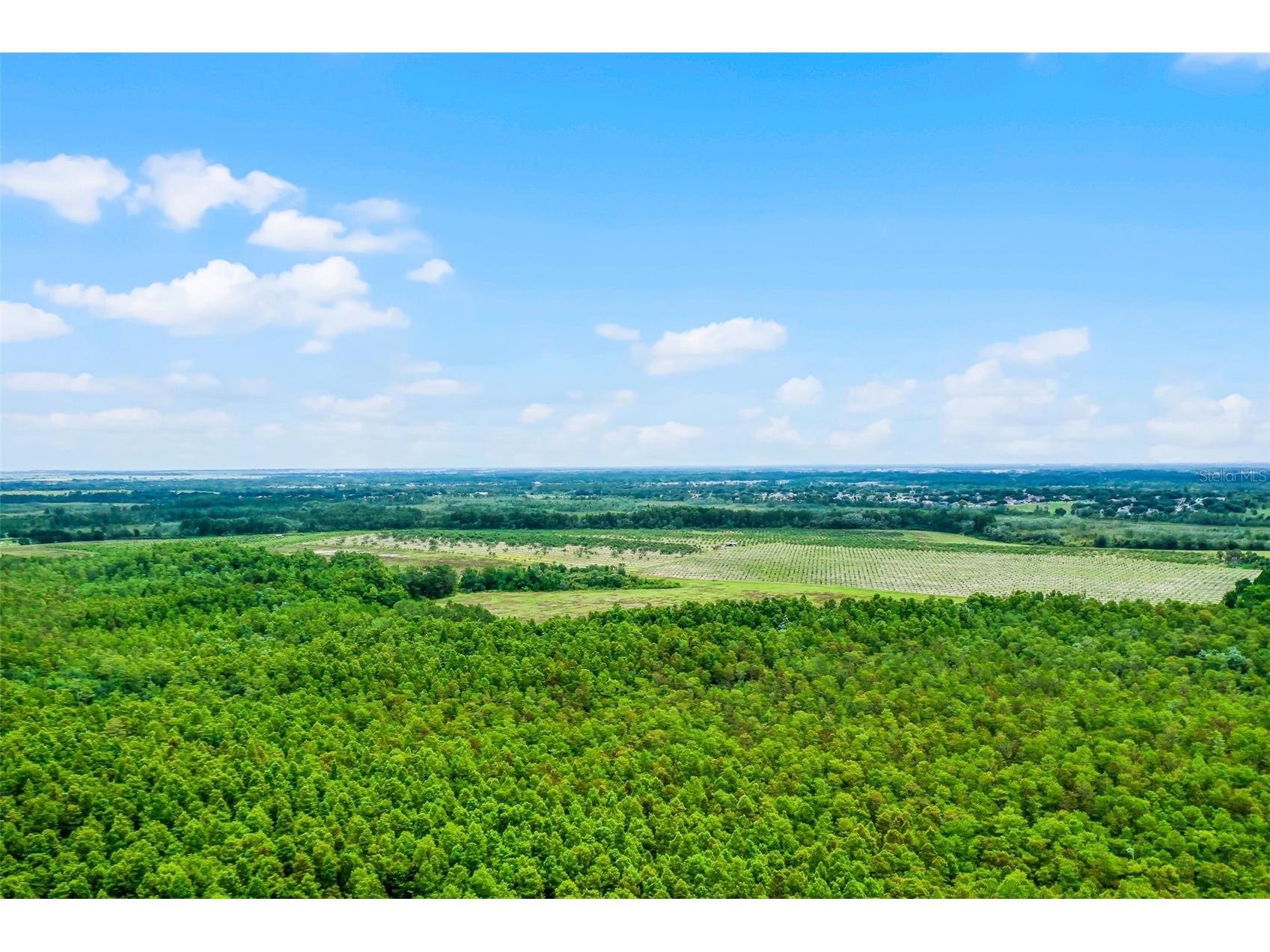 S Boggy Marsh Road Clermont FL 34711 G5078907 image25