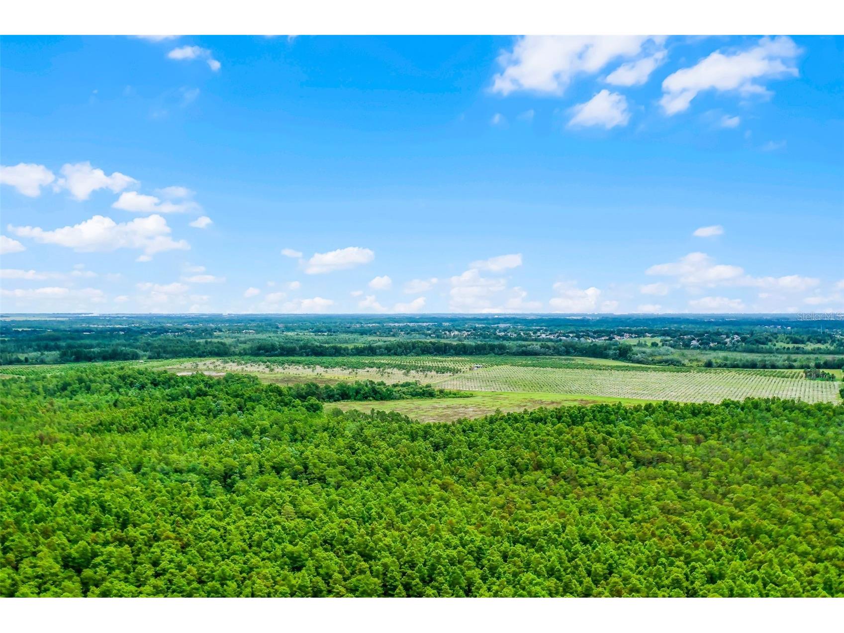 S Boggy Marsh Road Clermont FL 34711 G5078907 image26