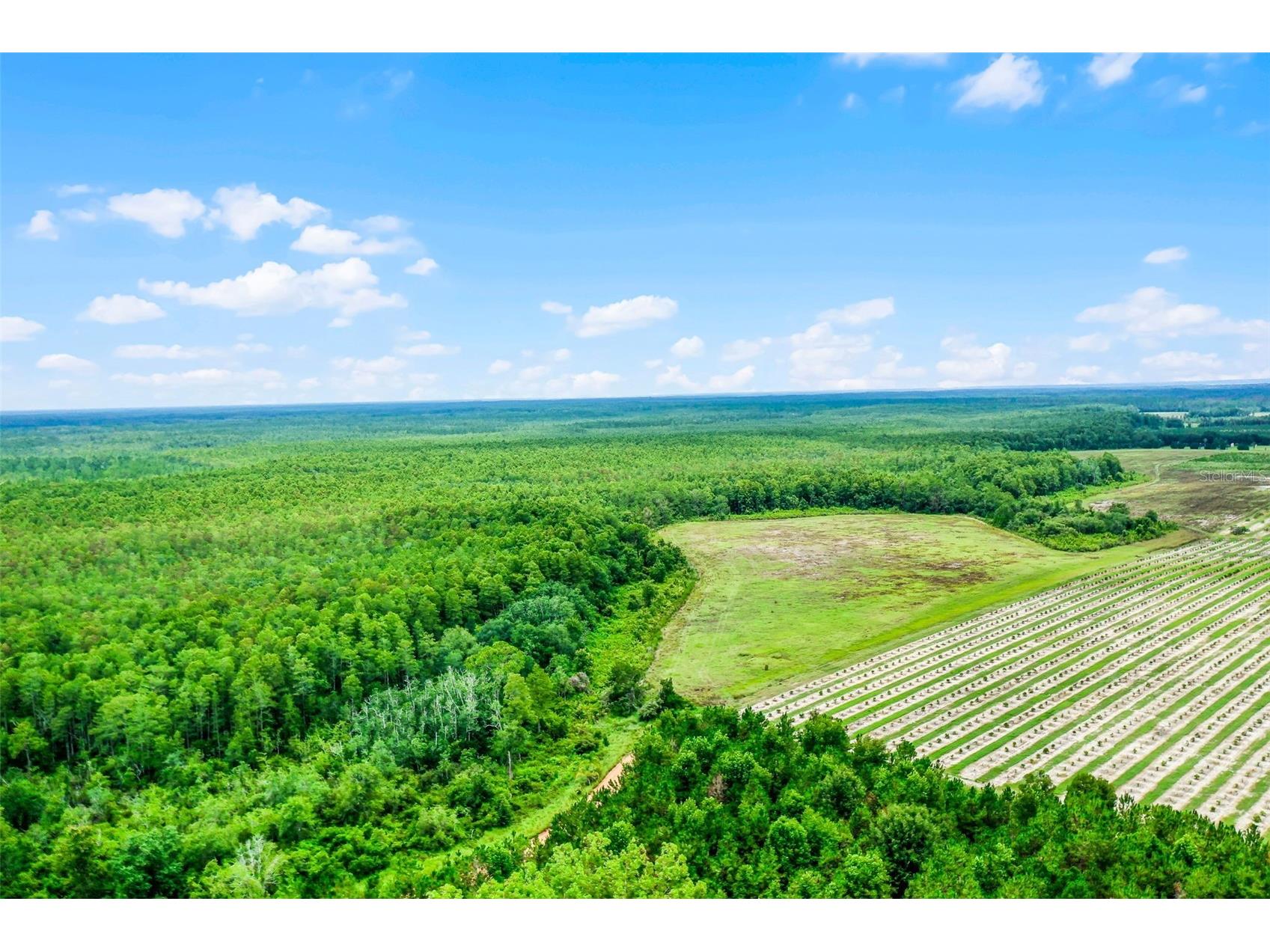 S Boggy Marsh Road Clermont FL 34711 G5078907 image3