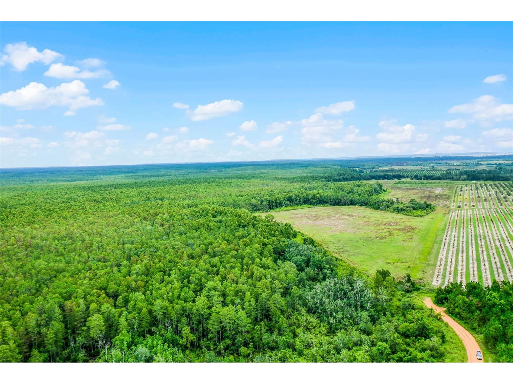 S Boggy Marsh Road Clermont FL 34711 G5078907 image4