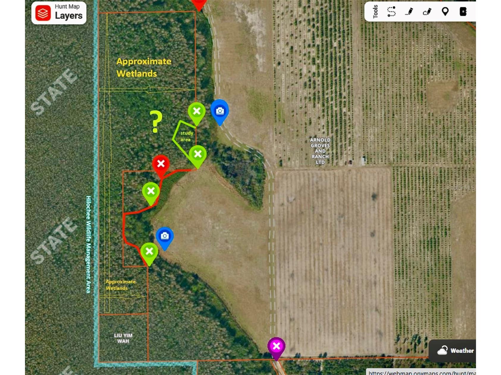 S Boggy Marsh Road Clermont FL 34711 G5078907 image6