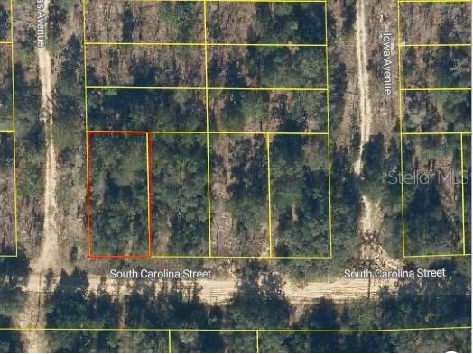 S Carolina Street Hawthorne FL 32640 O6277701 image1