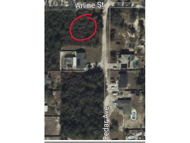 S Cedar Avenue Orange City FL 32763 V4933254 image1