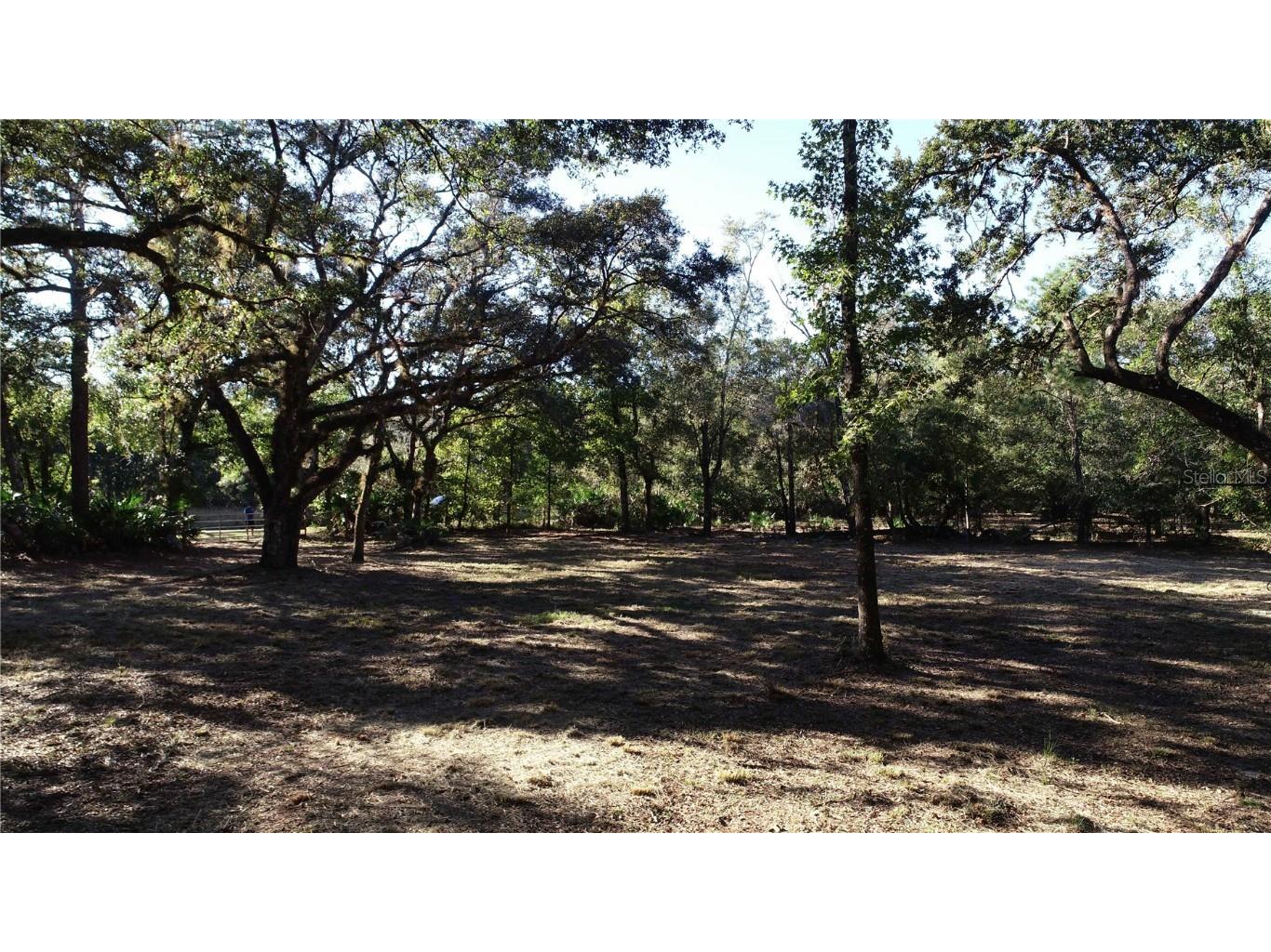 S County Road 13 Orlando FL 32833 O6372129 image10