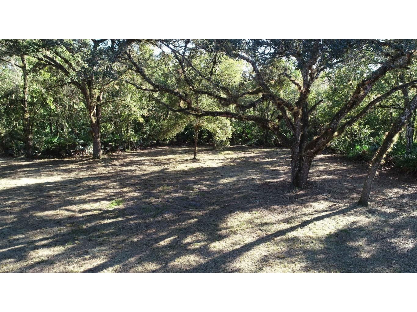 S County Road 13 Orlando FL 32833 O6372129 image2