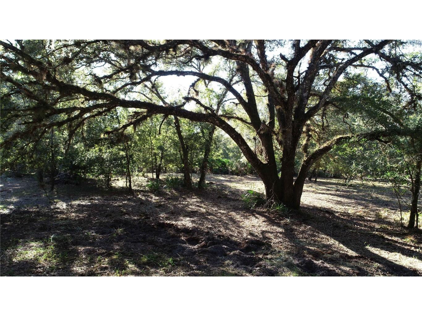 S County Road 13 Orlando FL 32833 O6372129 image6