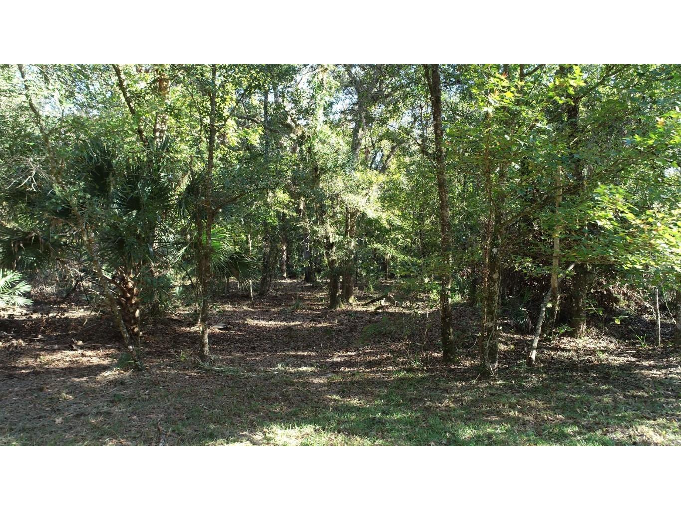 S County Road 13 Orlando FL 32833 O6372129 image8