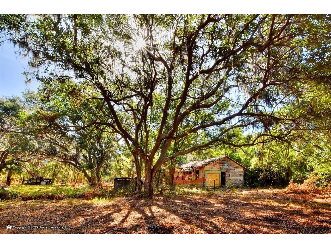 S County Road 39 Lithia FL 33547 T3443353 image1