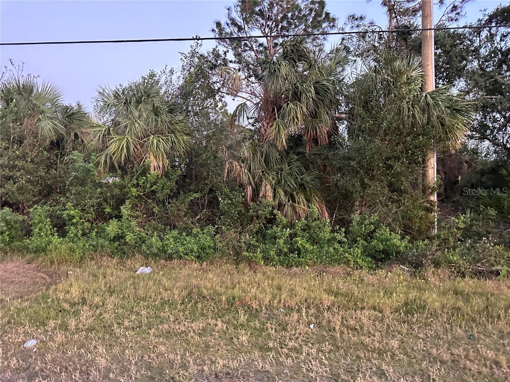 S Cranberry Boulevard North Port FL 34286 C7469015 image1