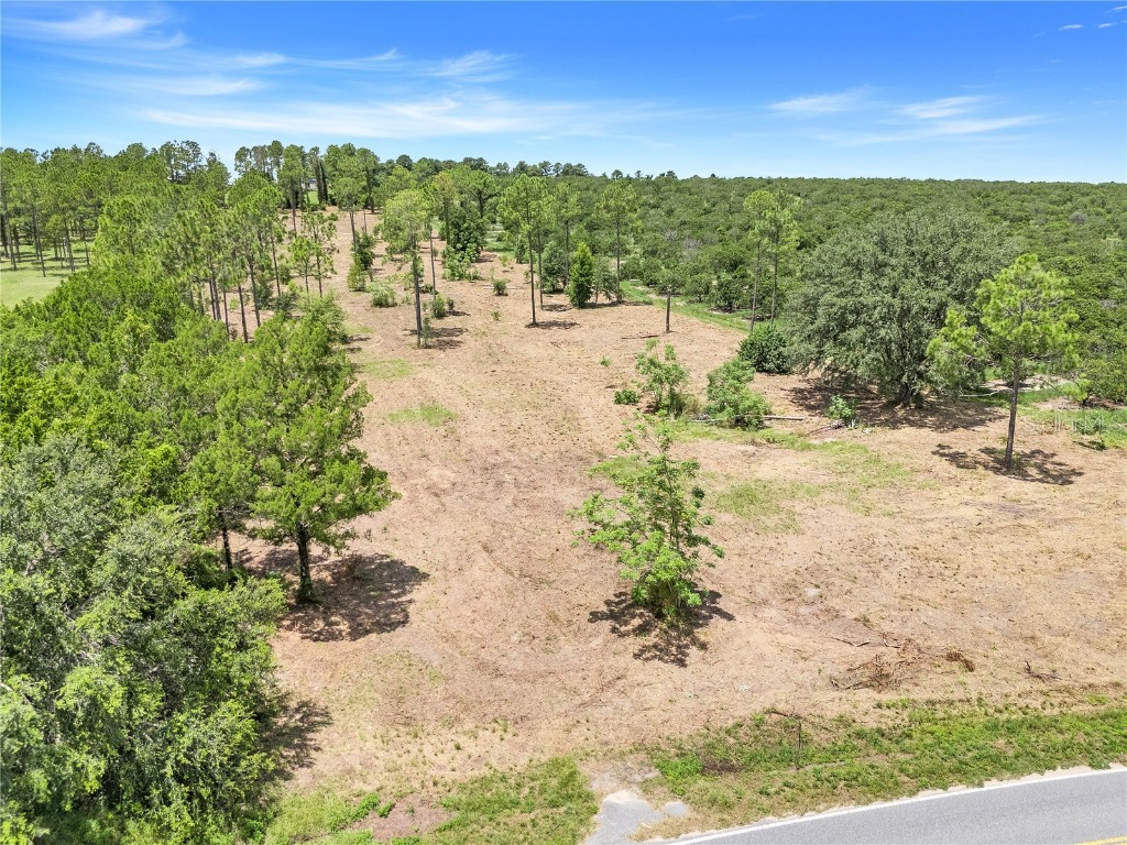 S Dewey Robbins Road Howey In The Hills FL 34737 G5100988 image8