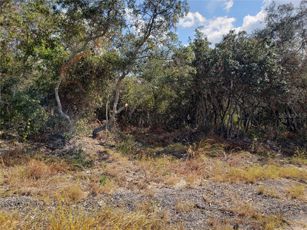 S Disston Avenue Tarpon Springs FL 34689 U8220540 image1