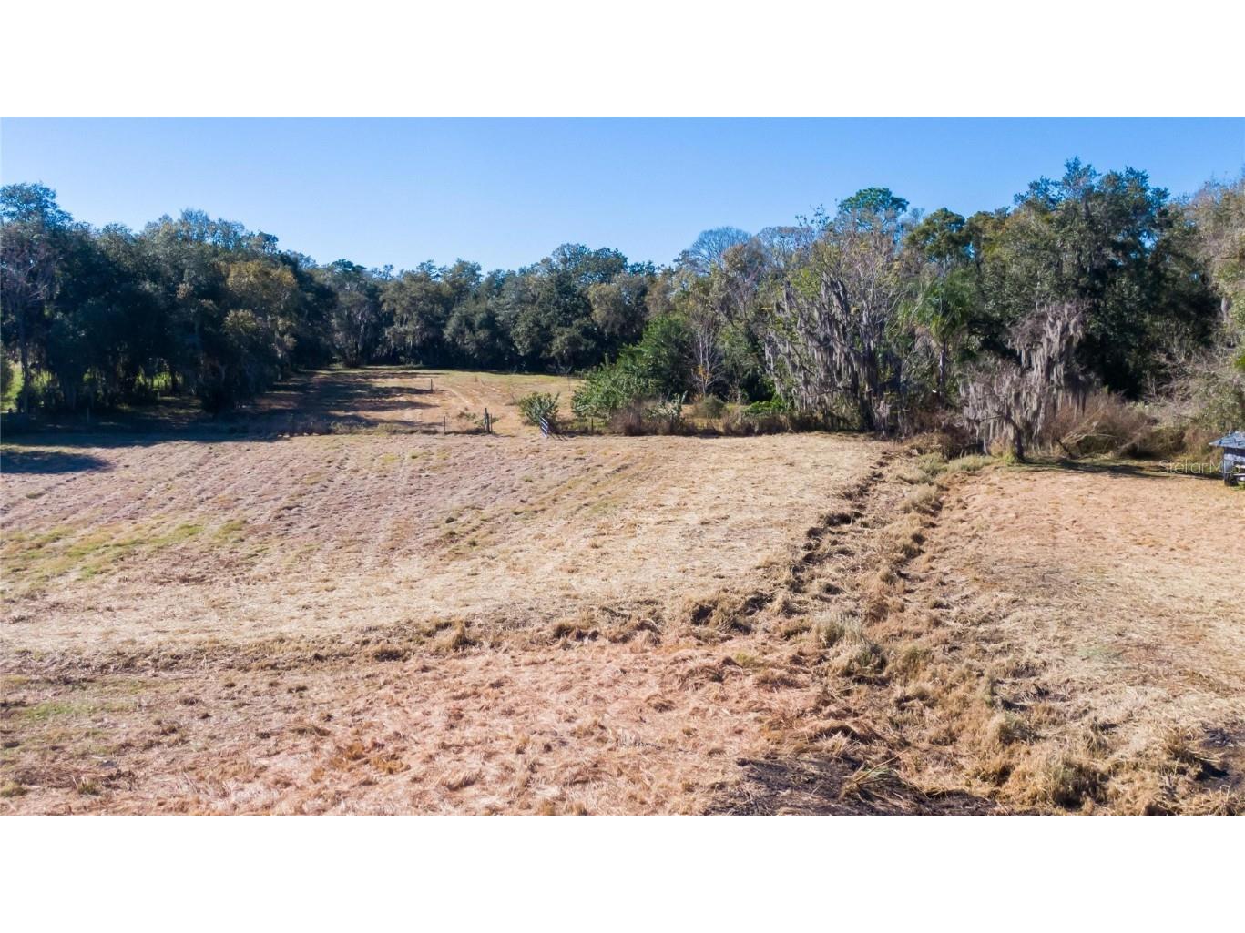 S. Forbes Road Dover FL 33527 T3352690 image10