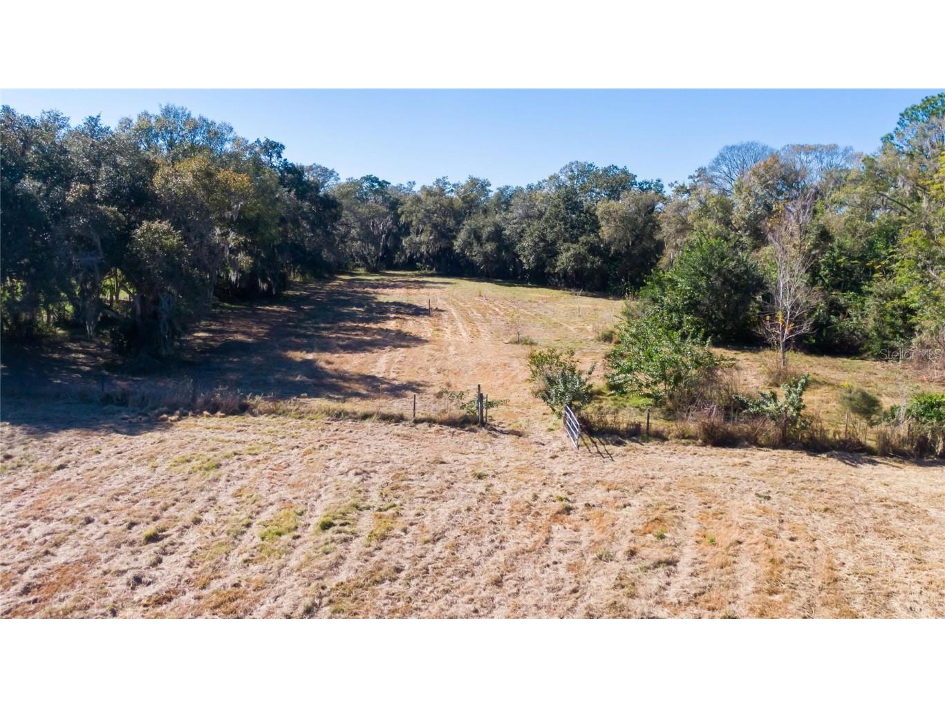 S. Forbes Road Dover FL 33527 T3352690 image11