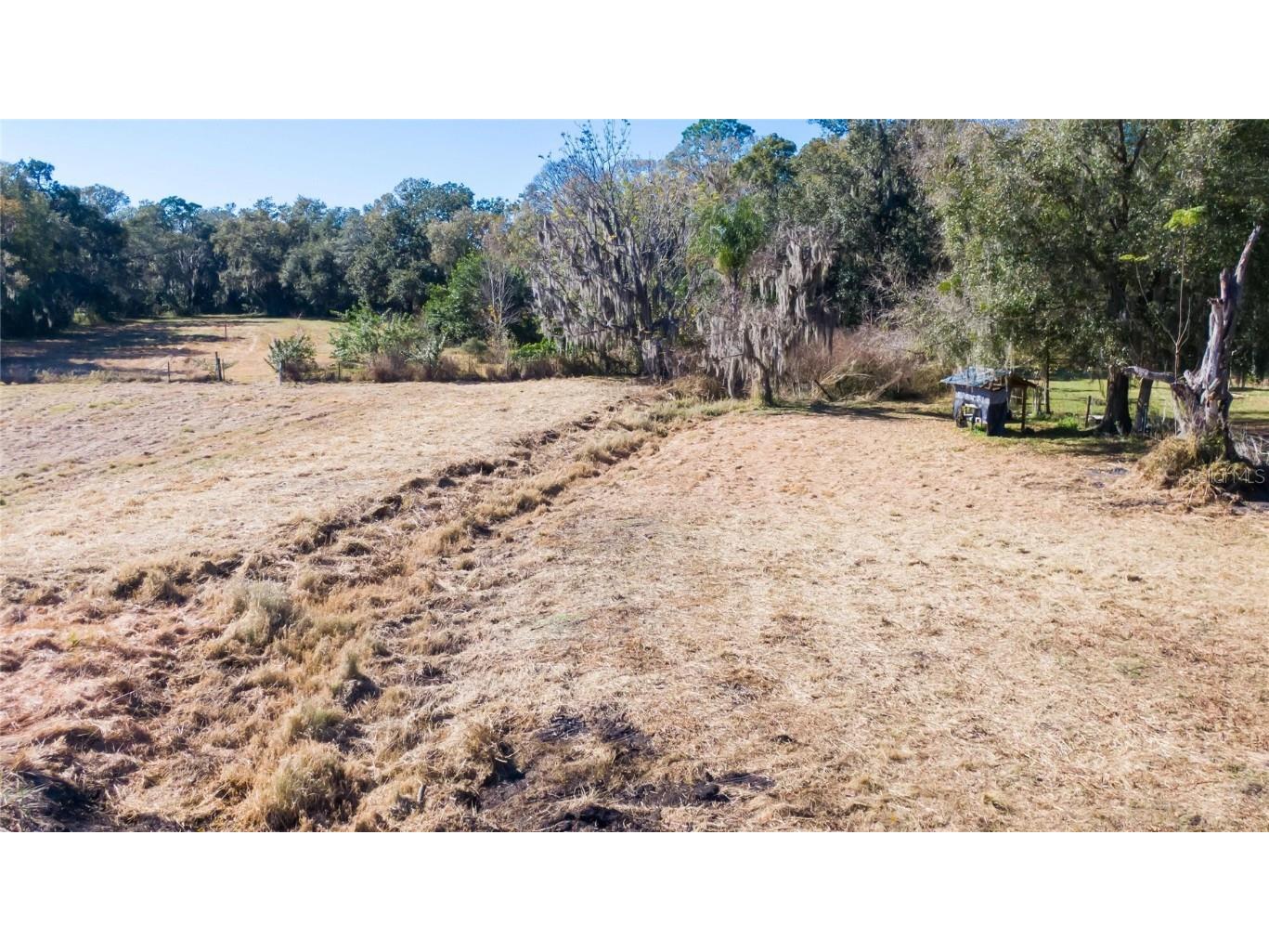 S. Forbes Road Dover FL 33527 T3352690 image12