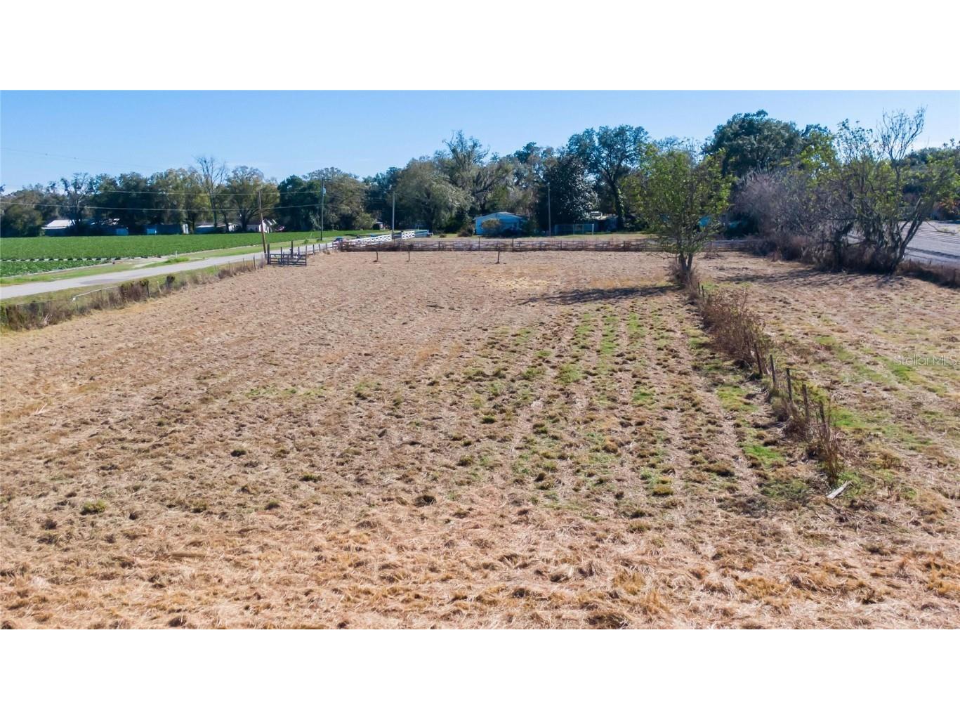 S. Forbes Road Dover FL 33527 T3352690 image13