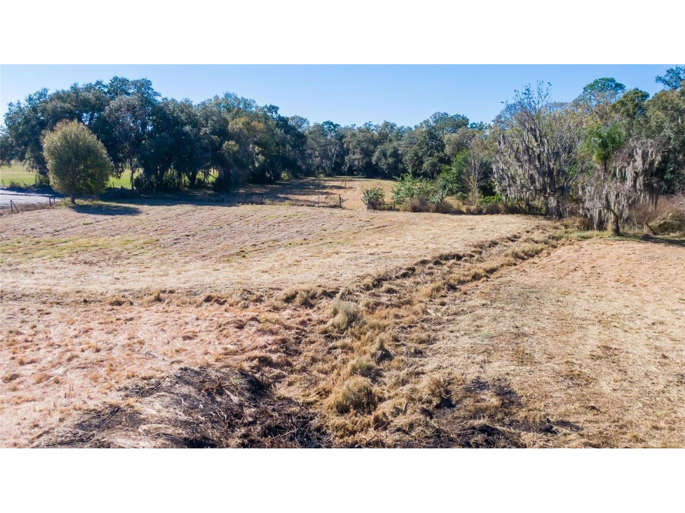 S. Forbes Road Dover FL 33527 T3352690 image14