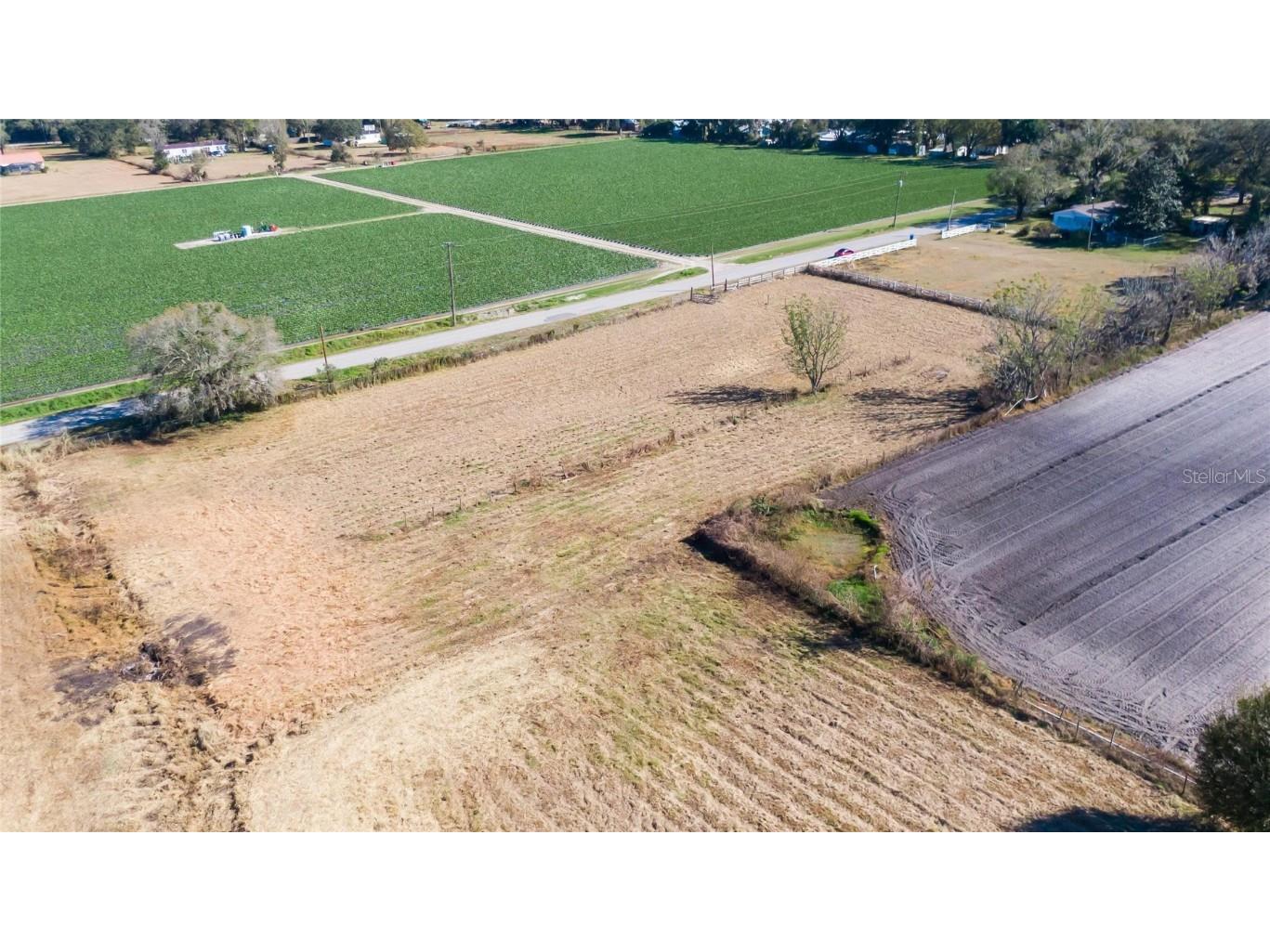 S. Forbes Road Dover FL 33527 T3352690 image5