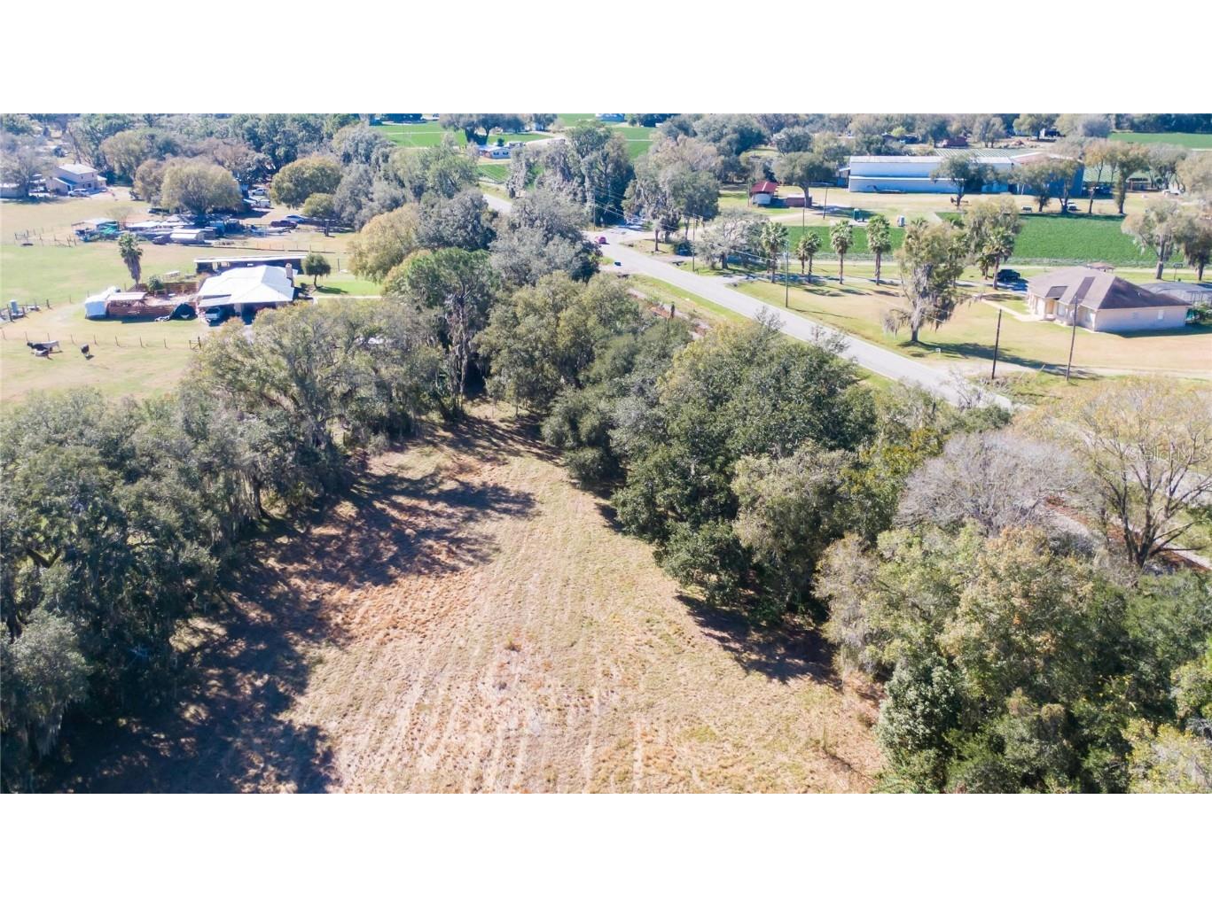 S. Forbes Road Dover FL 33527 T3352690 image6