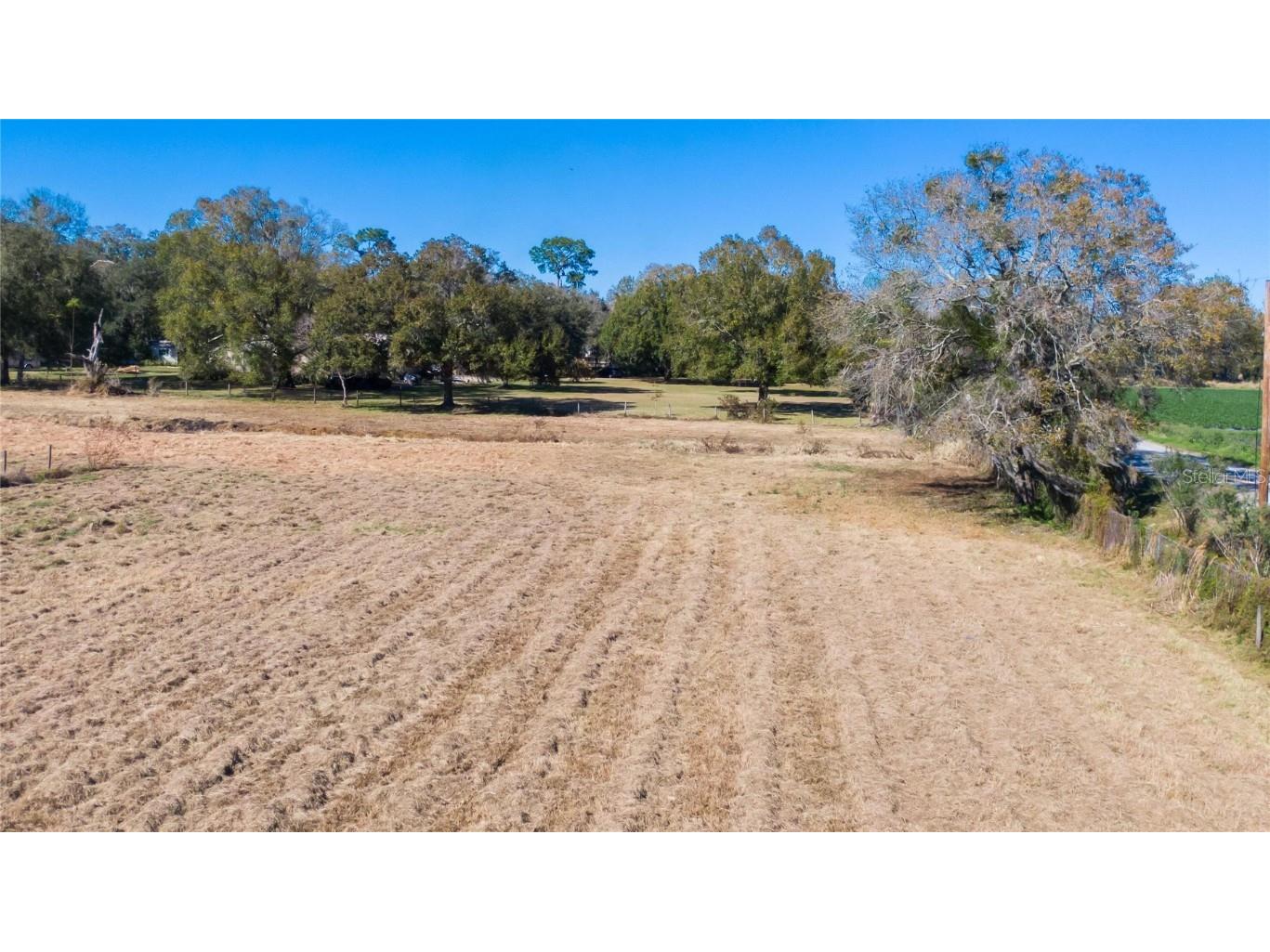 S. Forbes Road Dover FL 33527 T3352690 image9