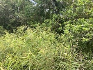 S Goodman Road Kissimmee FL 34747 S5107365 image1