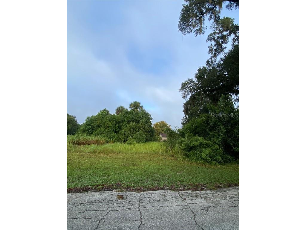 S Goodwin Street Lake Helen FL 32744 V4932468 image1