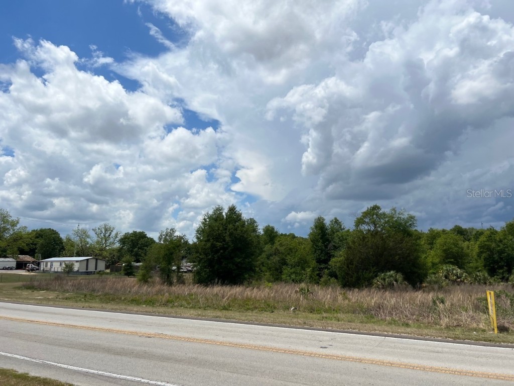 S Hwy 25 Weirsdale FL 32195 OM655900 image3