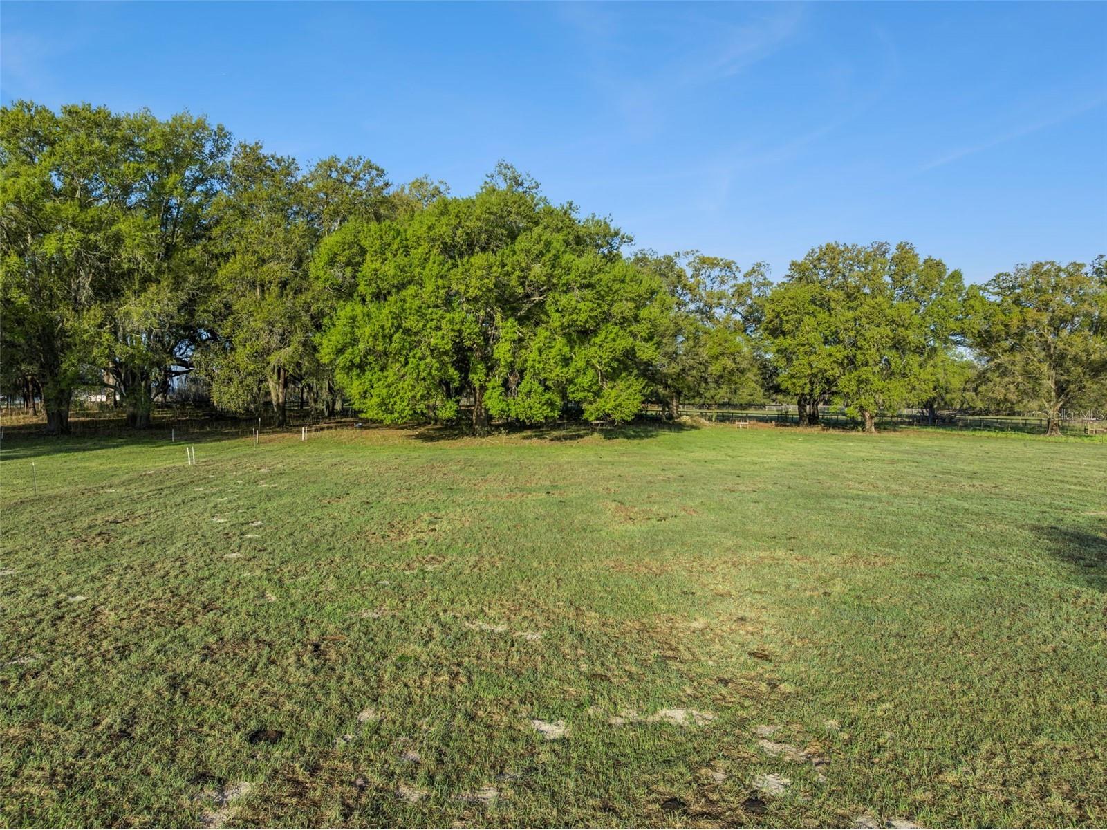 S Hwy 475 Oxford FL 34484 S5145975 image10