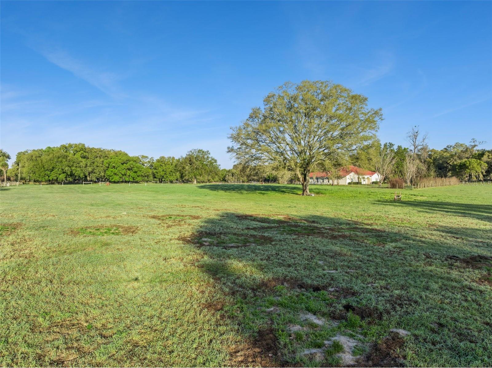 S Hwy 475 Oxford FL 34484 S5145975 image11