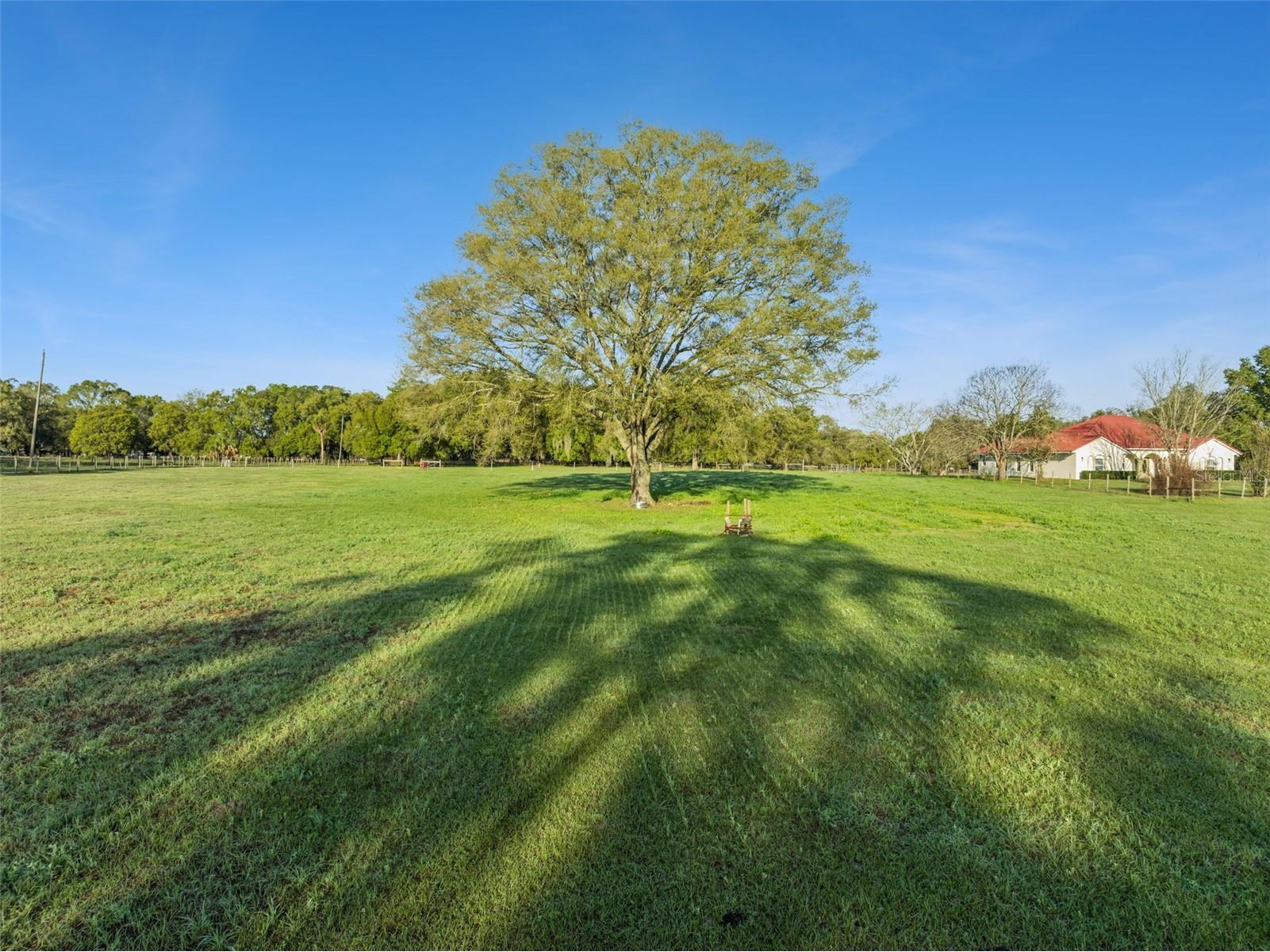 S Hwy 475 Oxford FL 34484 S5145975 image12