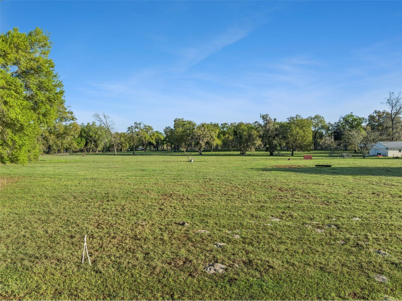 S Hwy 475 Oxford FL 34484 S5145975 image13