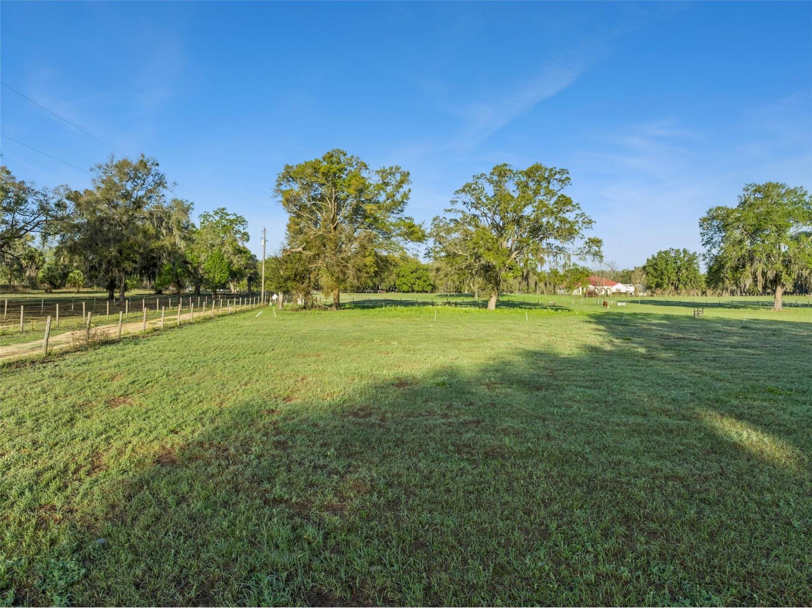 S Hwy 475 Oxford FL 34484 S5145975 image6