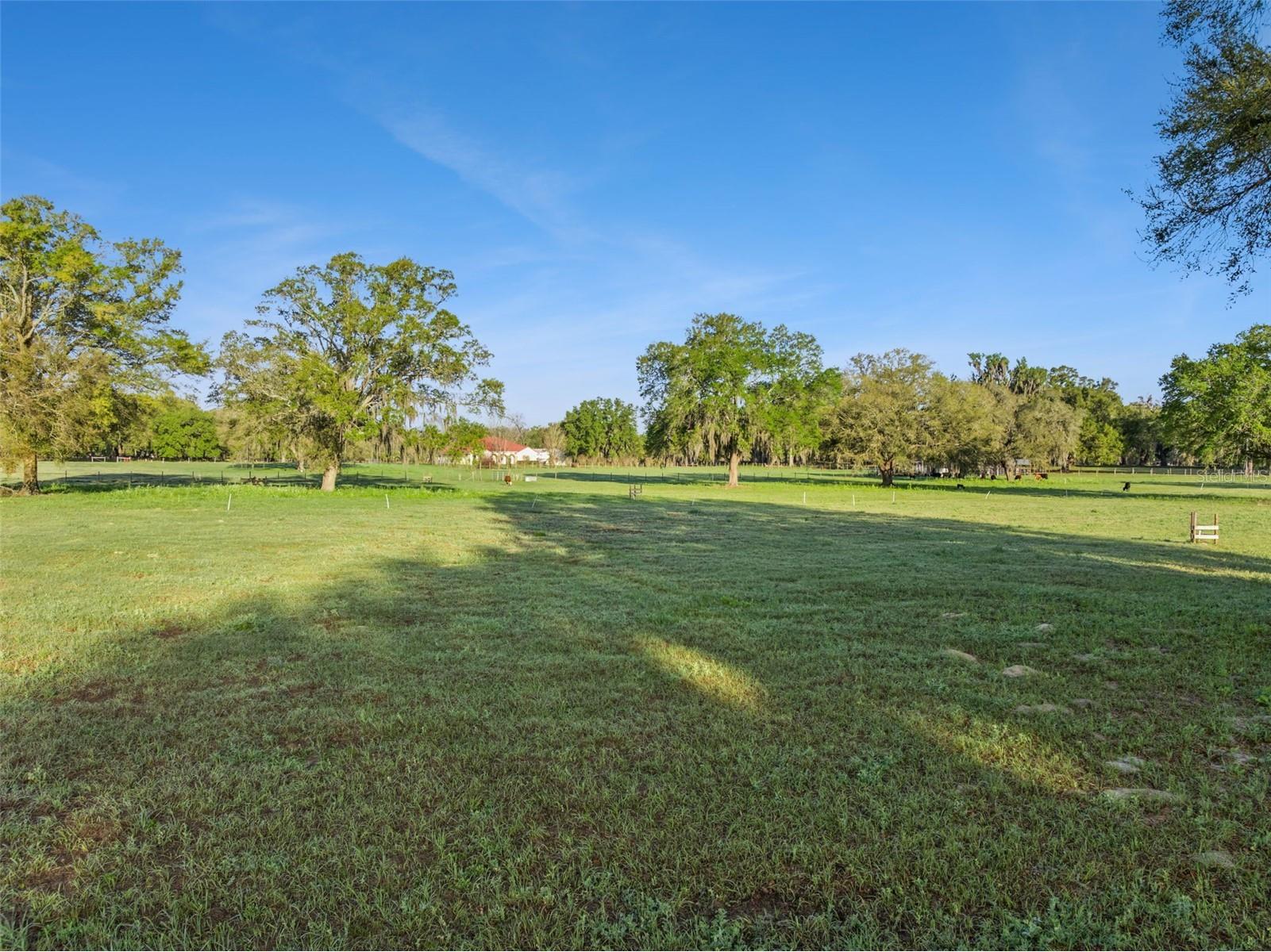 S Hwy 475 Oxford FL 34484 S5145975 image7