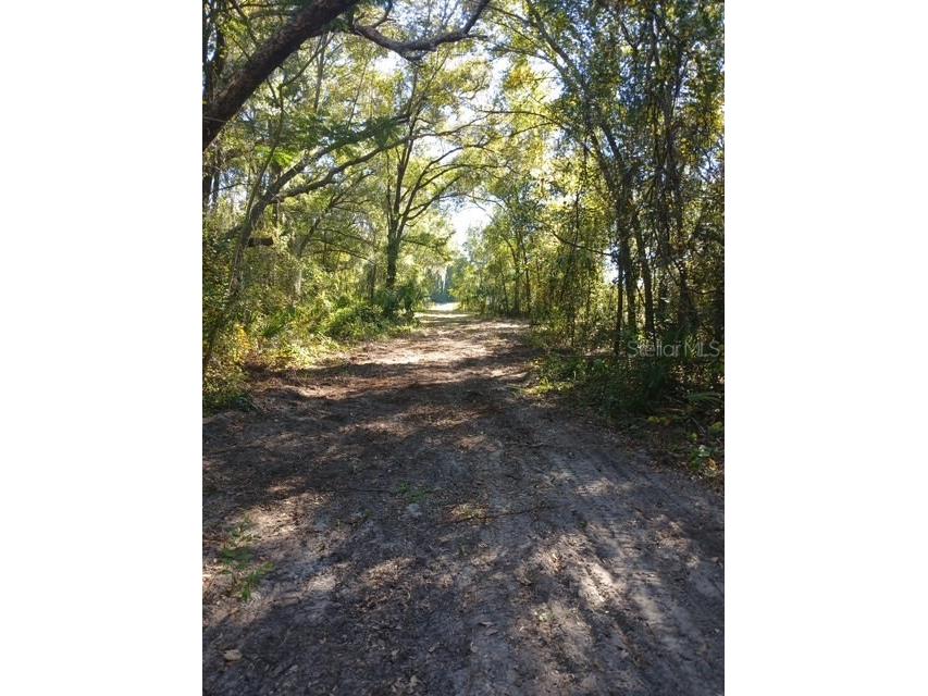 S Kentucky Avenue Deland FL 32724 V4946098 image1