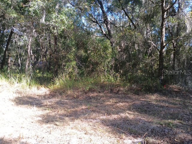 S Kentucky Avenue Deland FL 32724 V4946098 image4